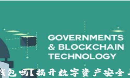 
区块链线下支付是冷钱包吗？揭开数字资产安全与支付方式的神秘面纱