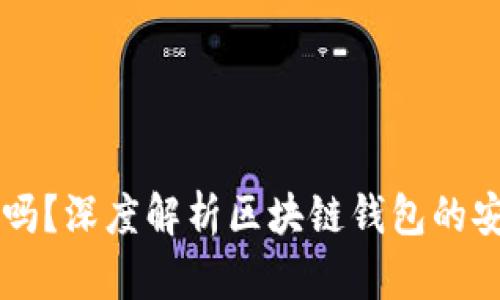 区块链钱包安全吗？深度解析区块链钱包的安全性与使用指南