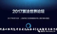 如何在小狐钱包中查看充入的币？全面解析与操