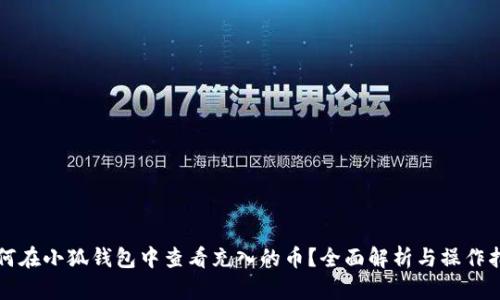 如何在小狐钱包中查看充入的币？全面解析与操作指南
