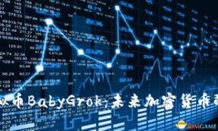 深入探究虚拟币BabyGrok：未