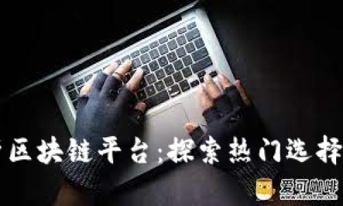 全面解析区块链平台：探索热门选择及其应用