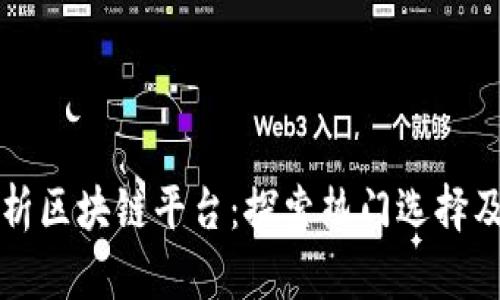 全面解析区块链平台：探索热门选择及其应用
