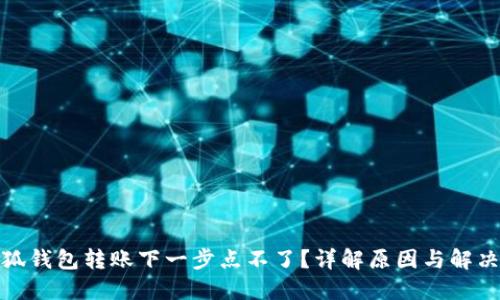 : 小狐钱包转账下一步点不了？详解原因与解决方案