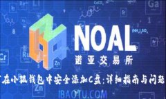 如何在小狐钱包中安全添加C盘：详细指南与问题