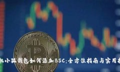 手机小狐钱包如何添加BSC：全方位指南与实用技