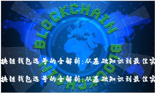 区块链钱包选号的全解析：从基础知识到最佳实践

区块链钱包选号的全解析：从基础知识到最佳实践