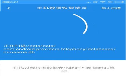 如何找到您的数字钱包账号：一站式指南