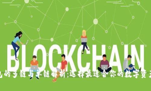 : 小狐钱包的多链与单链解析：选择最适合你的数字资产管理方案