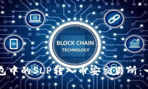 如何将小狐钱包中的SLP转入币安交易所：一步步详细指南