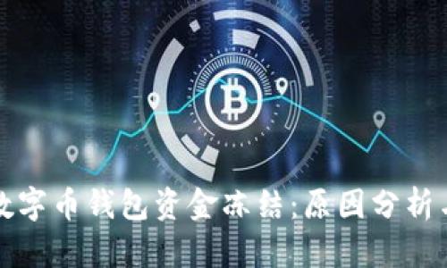 如何应对数字币钱包资金冻结：原因分析与解决方案