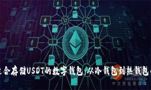 如何选择适合存储USDT的数字钱包：从冷钱包到热钱包的全面指南
