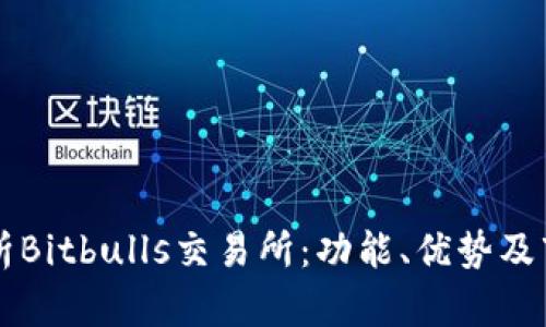 深入解析Bitbulls交易所：功能、优势及市场展望