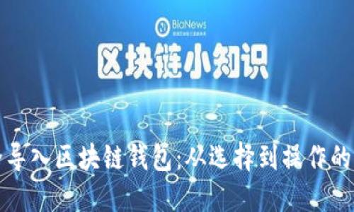如何安全导入区块链钱包：从选择到操作的详细指南