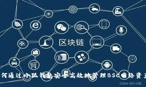 如何通过小狐钱包安全高效地管理BSC网络资产？