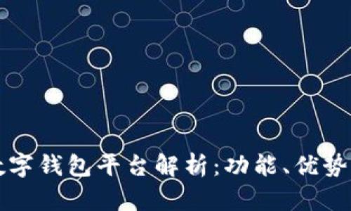 全球主要数字钱包平台解析：功能、优势与应用实践