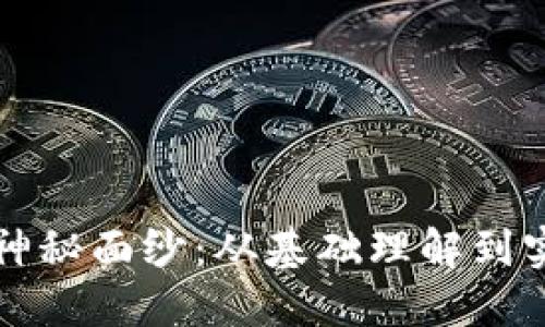 揭开数字币的神秘面纱：从基础理解到实用操作全指南