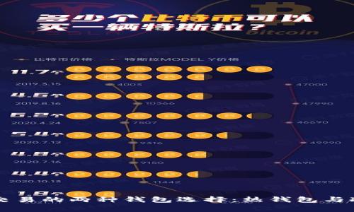 深入探讨数字藏品交易的两种钱包选择：热钱包与冷钱包的优劣势分析
