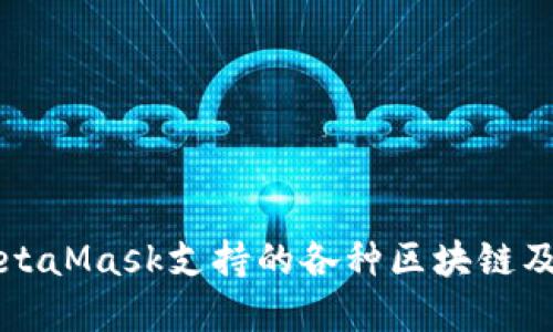 深入了解MetaMask支持的各种区块链及其应用场景