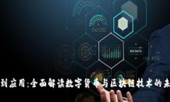 从基础到应用：全面解读