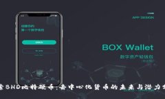 探索BHD比特硬币：去中心化货币的未来与潜力分