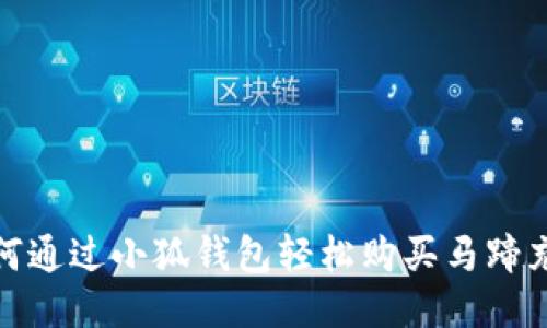 如何通过小狐钱包轻松购买马蹄充值