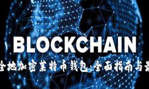 如何安全地加密莱特币钱包：全面指南与最佳实践