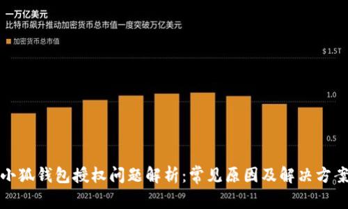 小狐钱包授权问题解析：常见原因及解决方案