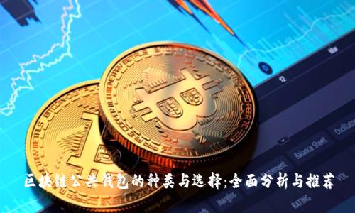 区块链公共钱包的种类与选择：全面分析与推荐