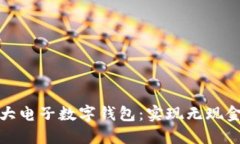 探秘全球最大电子数字钱