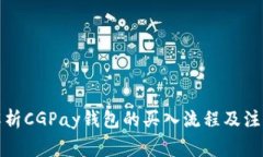 全面解析CGPay钱包的买入流程及注意事项