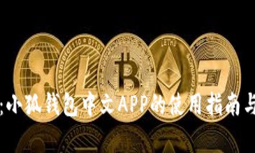 全面解析：小狐钱包中文APP的使用指南与核心功能