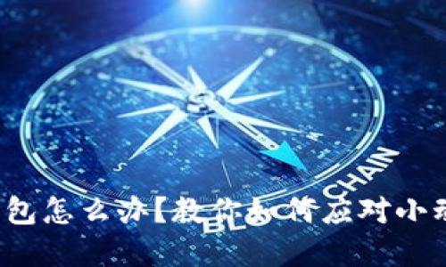  狐狸咬我的钱包怎么办？教你如何应对小动物的意外损害