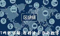 小狐钱包USDT网络详解：选