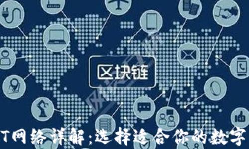 
小狐钱包USDT网络详解：选择适合你的数字资产存储方式