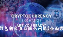 如何解决小狐钱包转出未到账的问题？全面指南