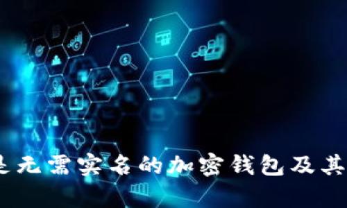 全面解析：什么是无需实名的加密钱包及其使用风险与优势