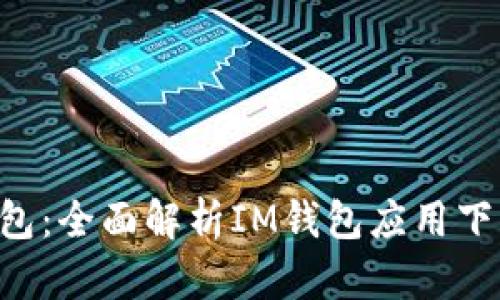 :  探索IM钱包：全面解析IM钱包应用下载及使用指南