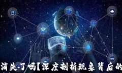 小狐钱包质押币消失了吗