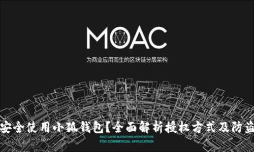如何安全使用小狐钱包？全面解析授权方式及防盗技巧