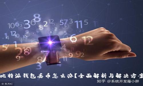 比特派钱包丢币怎么办？全面解析与解决方案
