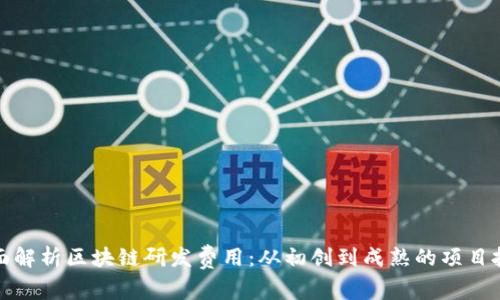 全面解析区块链研发费用：从初创到成熟的项目投资